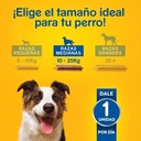 PEDIGREE DENTASTIX RAZAS GRANDES