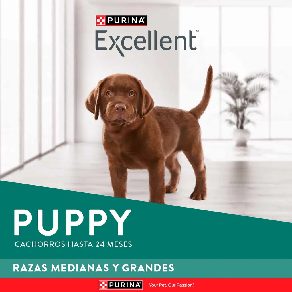 EXCELLENT CACHORRO RAZAS MEDIANAS Y GRANDES X 15KG