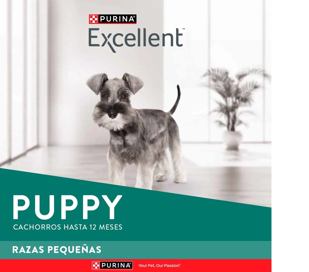 EXCELLENT DOG PUPPY RAZA PEQUEÑA X 3KG