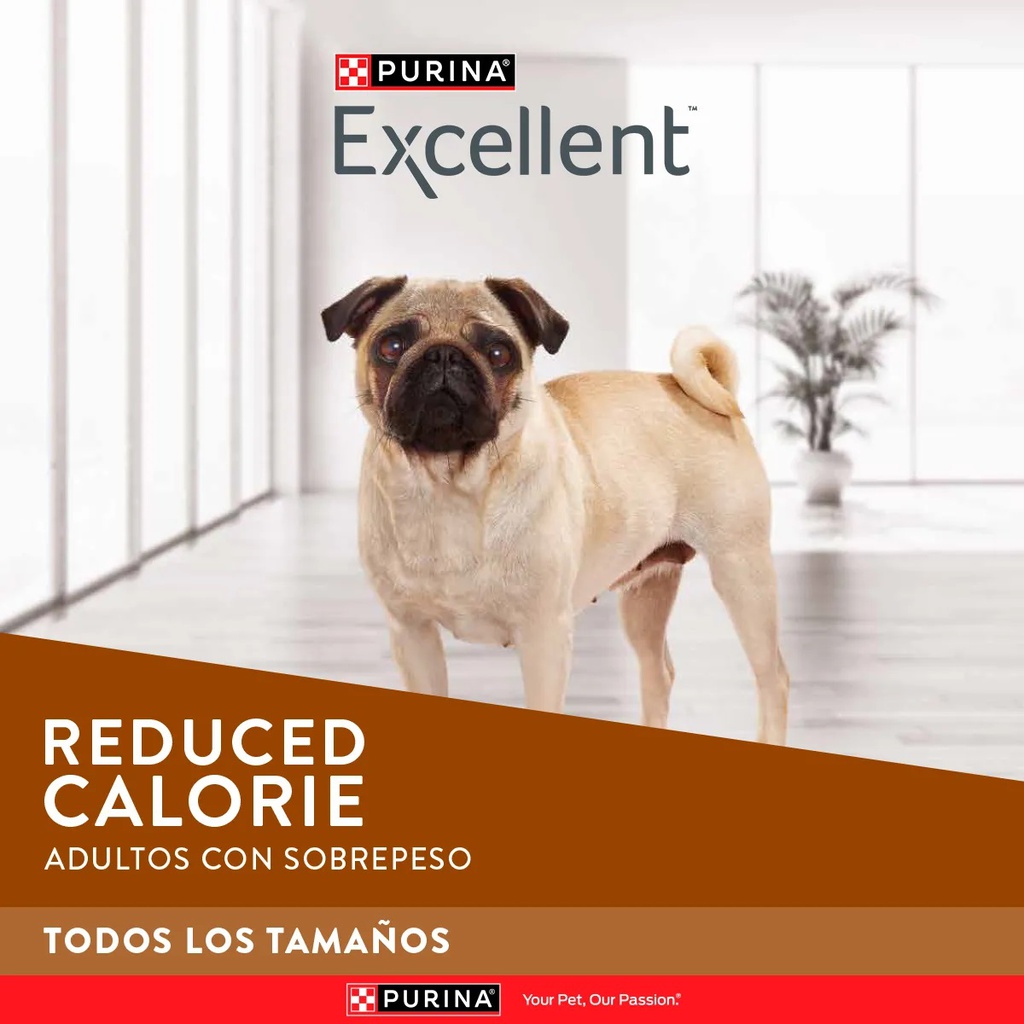 EXCELLENT DOG REDUCE CALORIAS X 3KG