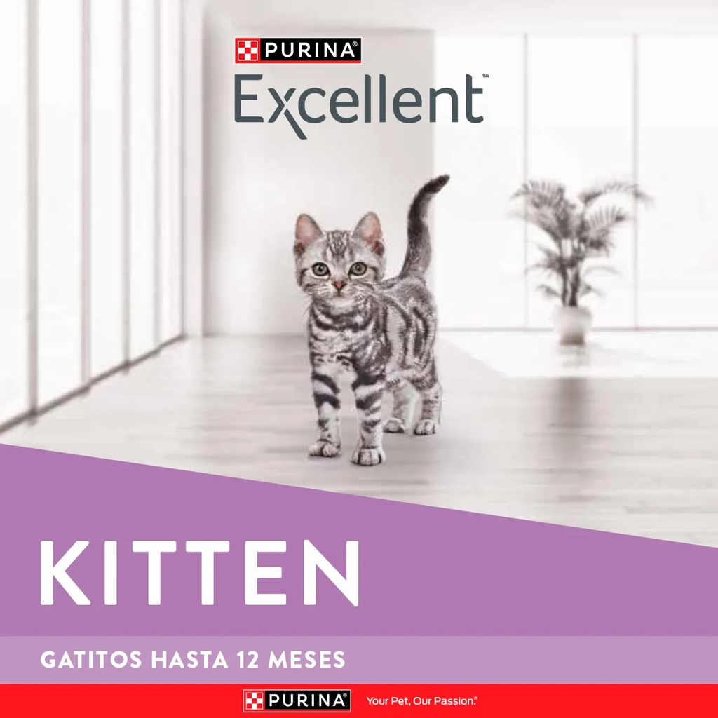 EXCELLENT GATITO 7.5KG