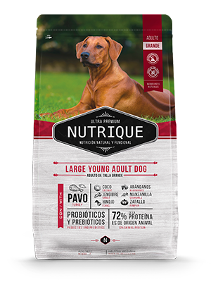 NUTRIQUE LARGE YOUNG ADULT X 3KG