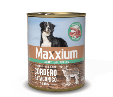 LATA GOOSTER MAXXIUM ADULTO CORDERO Y ARROZ X 340 GRS