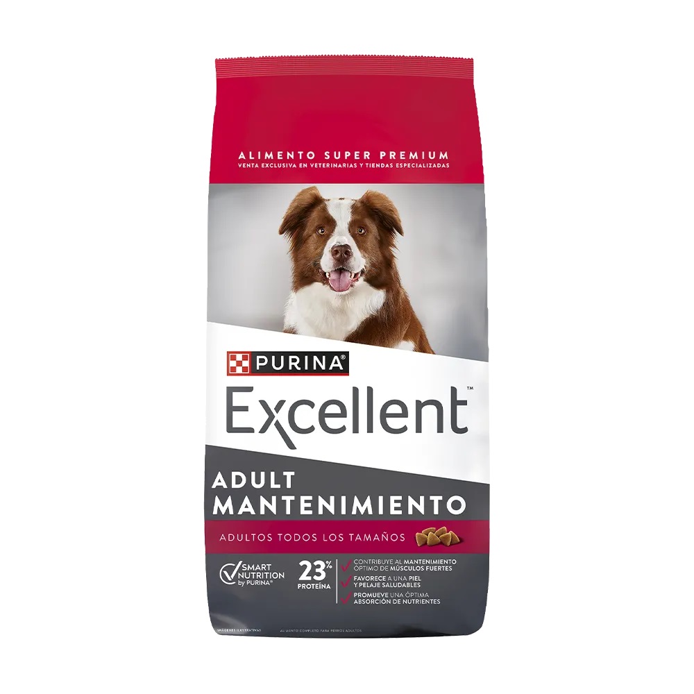 EXCELLENT  ADULTO MAINTENANCE X 20KG