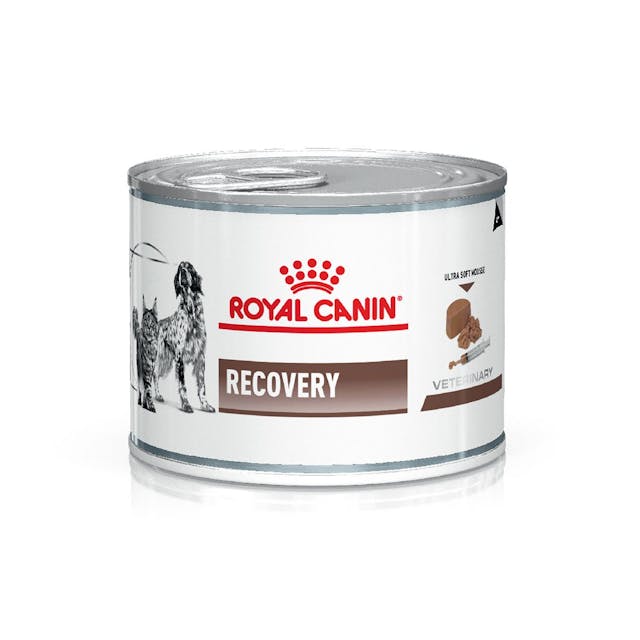 ROYAL LATA RECOVERY  195GR