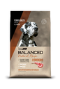 BALANCED PERRO RECIPE CORDERO X 15KG