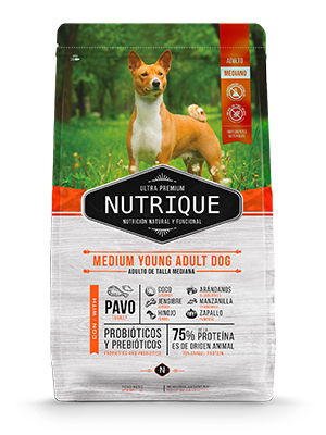 NUTRIQUE MEDIUM YOUNG ADULT X 12KG