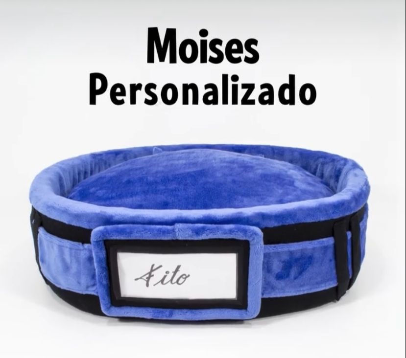 MOISES PERSONALIZADO DISTRIMAX